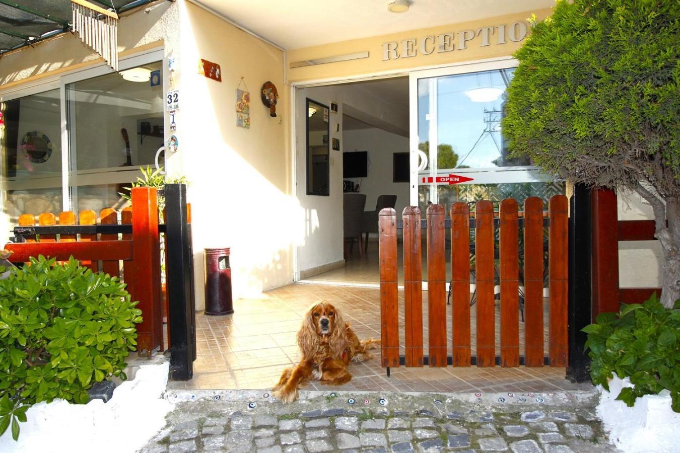Bonapart Hotel Çeşme Zewnętrze zdjęcie