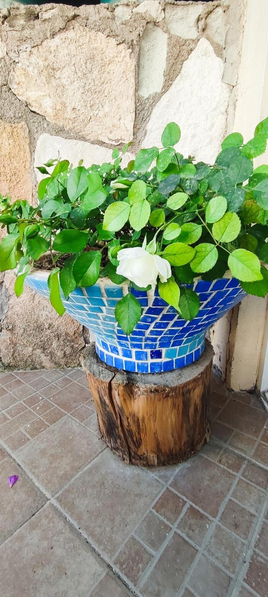 Bonapart Hotel Çeşme Zewnętrze zdjęcie